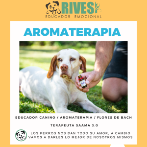 1 sesión de Aromaterapia – Presencial