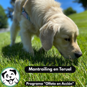 Programa "Olfato en Acción" - Mantrailing