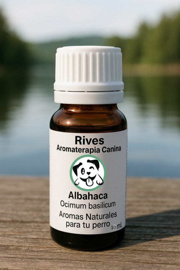 Aceite Esencial Albahaca 10 ml.