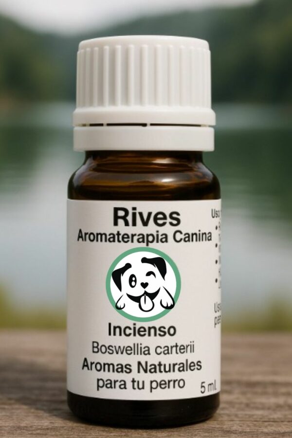 Aceite Esencial Incienso 5 ml.