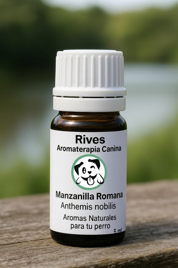 Manzanilla - Aceite Esencial  5 ml.