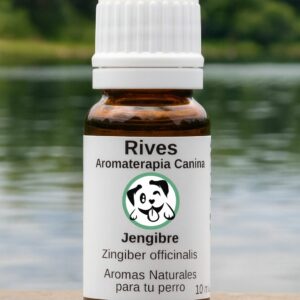 Jengibre - Aceite Esencial 10 ml.