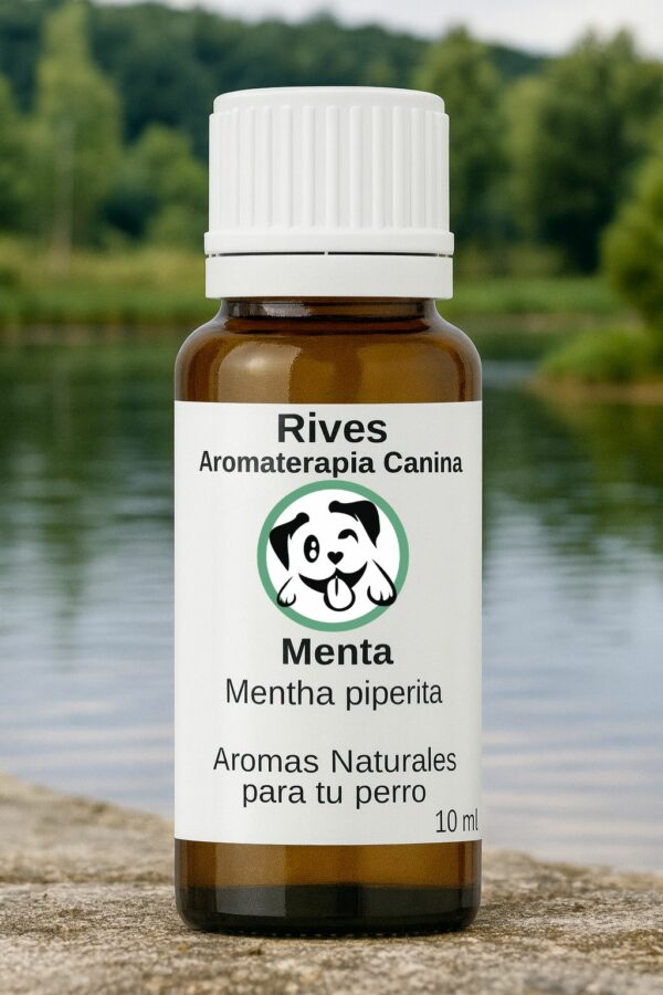 Menta - Aceite Esencial 10 ml.