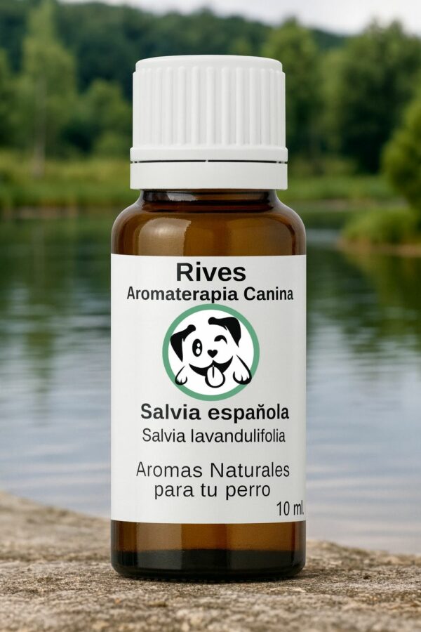 Salvia - Aceite Esencial 10 ml.