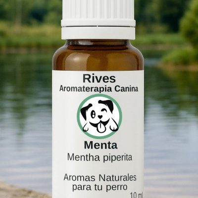 Menta
