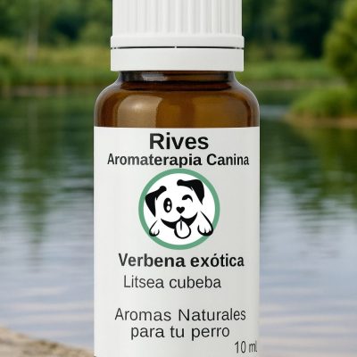 Verbena Exótica